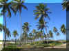 Brasilien-(2).jpg (19762 Byte)